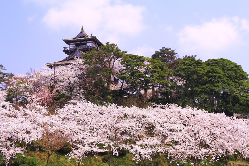 花霞の中に天守閣が浮かんで見える「霞ヶ城」