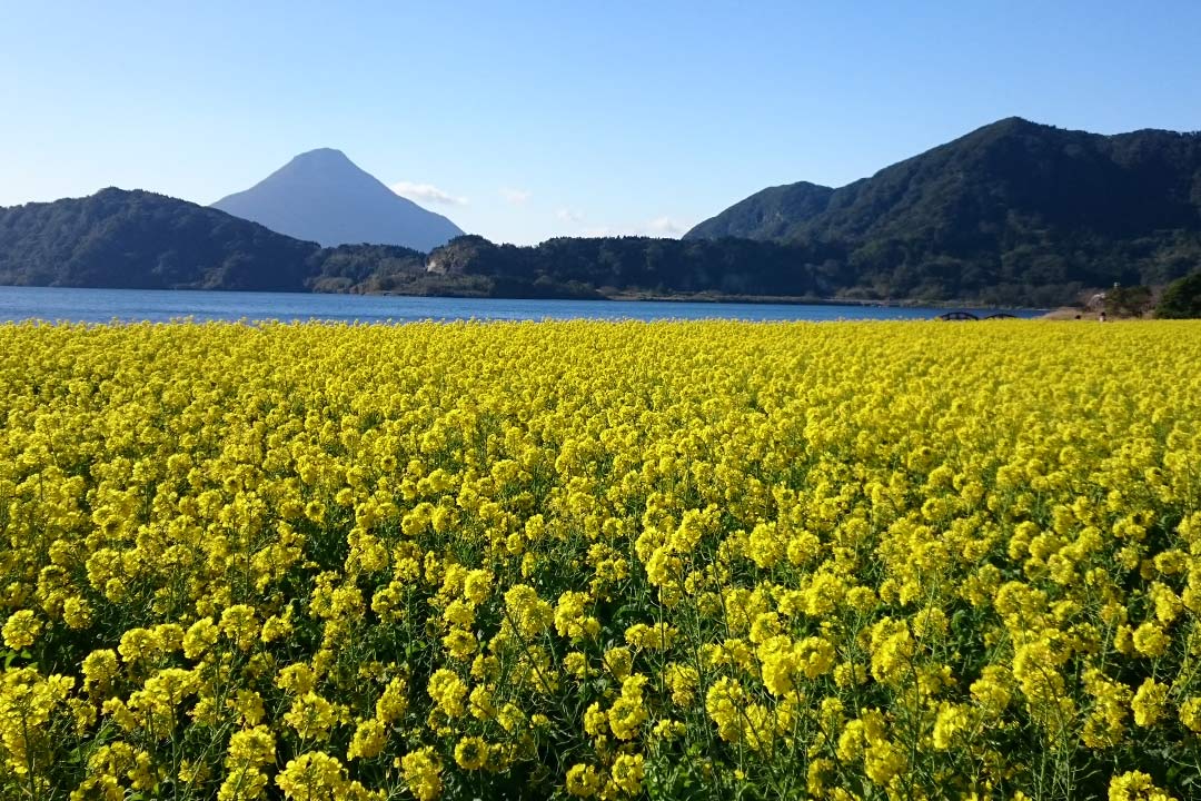 池田湖